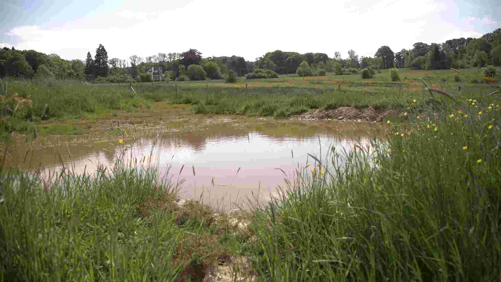 Ramener de la biodiversité dans nos campagnes